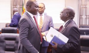 Cabinet approves grain marketing framework as 2026 selling season opens