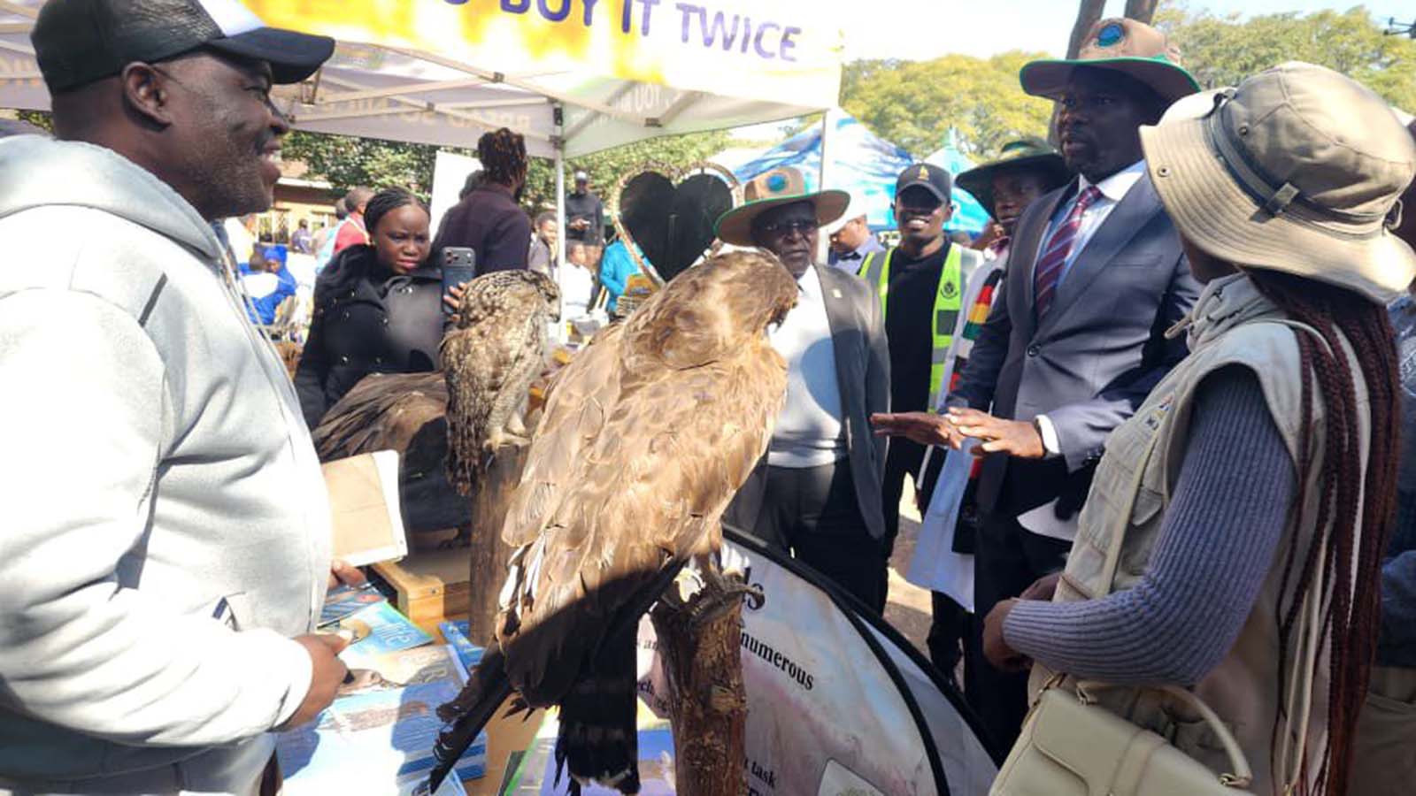 Zimbabwe rallies against plastic pollution on World Environment Day
